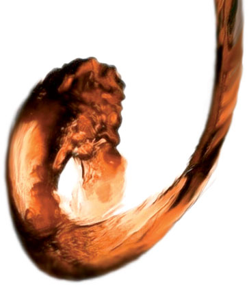 vino liquoroso